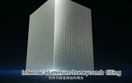 Công nghệ mộng và Mộng thân thịt baineng