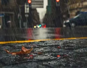 Thời tiết gió miền Nam đang đến, vì vậy hãy thực hiện chiến lược chống ẩm này!