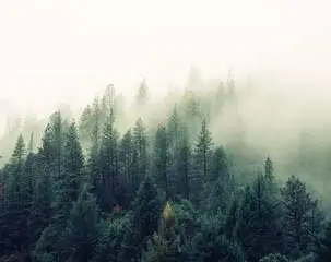 Baineng nội thất gia đình bơm bảo vệ môi trường và sức khỏe vào mọi quy trình