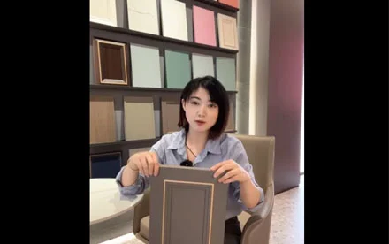 Bảng điều khiển cửa opexel Series-Ốp PVC